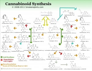Cannibinoids