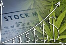 Cannabis Companies Worth Watching in 2021