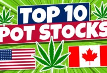 How To Build the Best Sativa and Indica Cannabis Brands