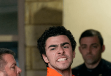 The New Face of Healthcare Reform: Luigi Mangione