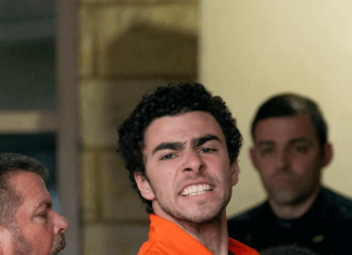 The New Face of Healthcare Reform: Luigi Mangione