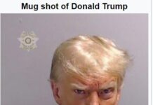 Fraud is Trump’s Favorite Crime Because It Destabilizes A Society